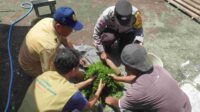 Pestisida Alami, Solusi Hemat dan Sehat untuk Petani Kediri