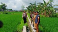 Karang Bongkot Punya Potensi! Lahan Kosong Siap Digarap Petani