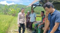Sinergi Polri dan Petani, Wujudkan Ketahanan Pangan di Kuripan Selatan