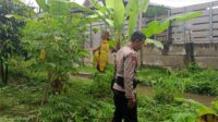 Sinergi Polri dan Warga, Optimalkan Lahan Kosong untuk Pangan Mandiri