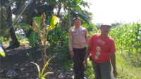 Sinergi Polri dan Warga, Polsek Kuripan Gencarkan Program Ketahanan Pangan