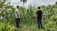 Bhabinkamtibmas Labuapi Dorong Petani, Ini yang Dilakukannya