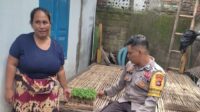 Polsek Labuapi Gandeng Masyarakat Wujudkan Kemandirian Pangan di Lombok Barat (2) Bhabinkamtibmas Menginspirasi: Warga Lombok Barat Bangkit dengan Pertanian Mandiri