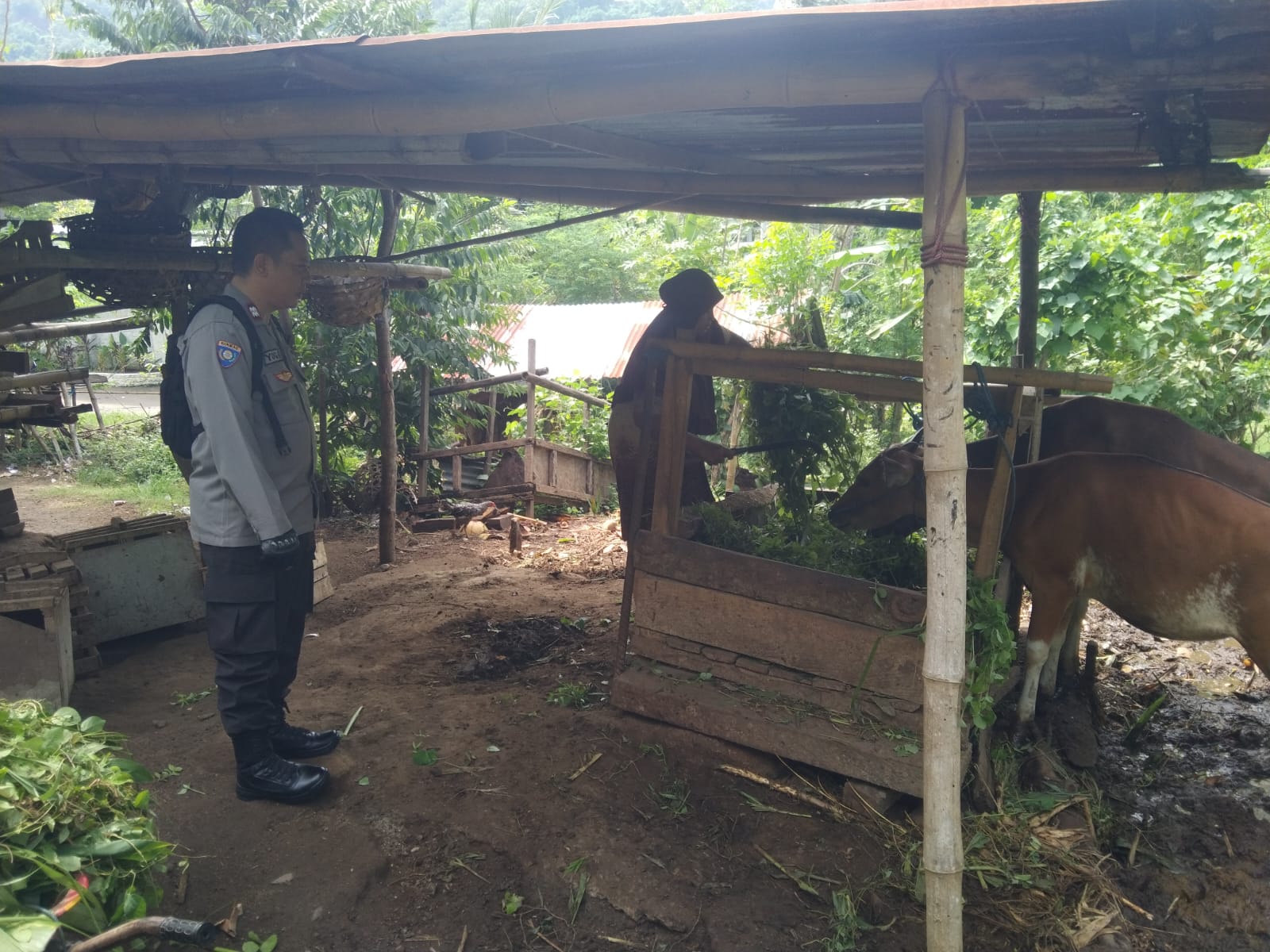 Ketahanan Pangan dari Rumah: Polri Ajak Warga Tanam Sayur di Pekarangan