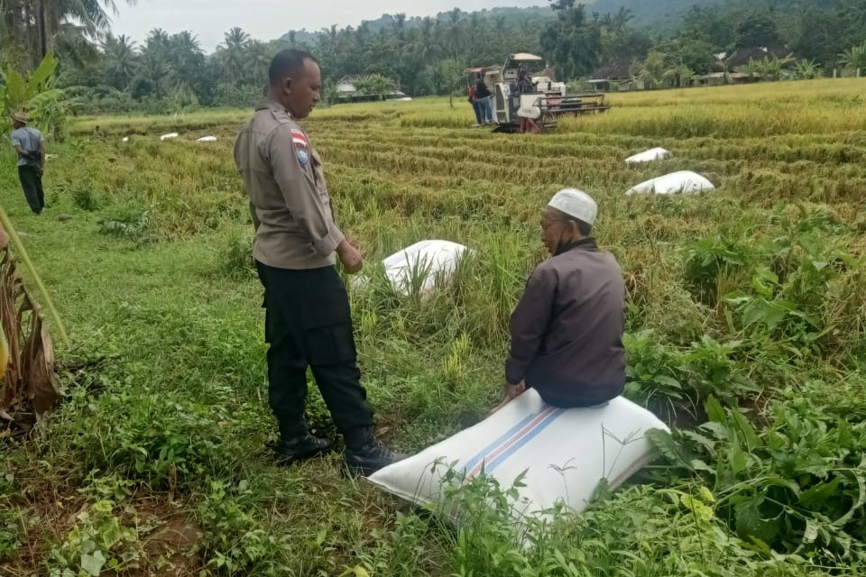 Kedekatan Polisi dan Petani, Panen Jadi Nyaman