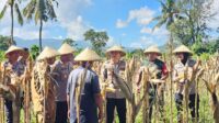 Kapolres Lombok Barat Hadiri Panen Raya Jagung, Sinergi Polri dan Petani Jaga Ketahanan Pangan