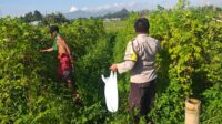 Polsek Kuripan Dukung Ketahanan Pangan Nasional, Bhabinkamtibmas Jalin Sinergi dengan Warga