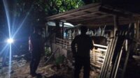 Polsek Sekotong Intensifkan Patroli Malam, Sasar Kandang Ternak Cegah Kejahatan