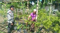 Sinergi Polisi dan Warga Lombok Barat Wujudkan Program Ketahanan Pangan
