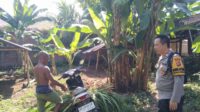 Bhabinkamtibmas Batulayar Barat Aktif Jalin Silaturahmi, Sosialisasi Pemanfaatan Pekarangan u (1) Peran Aktif Polri dalam Program Ketahanan Pangan Desa Montong Are