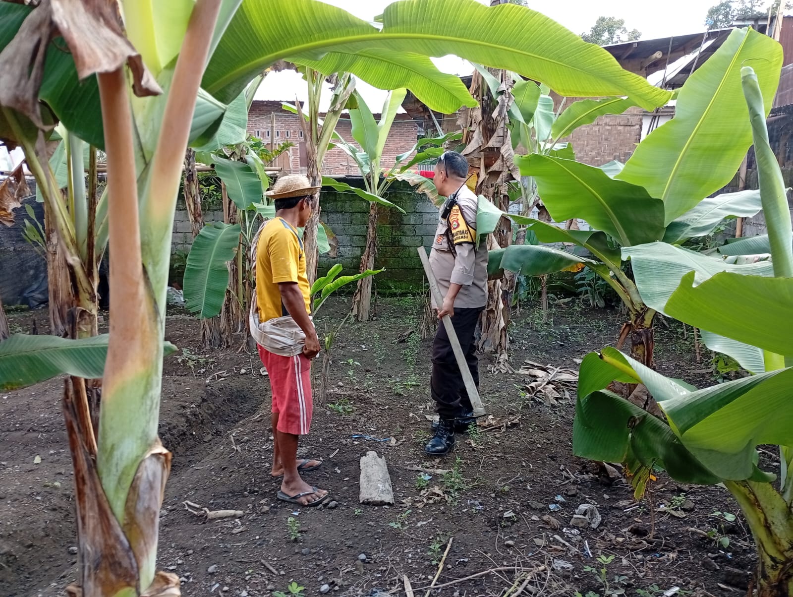 pangan, desa, ketahanan, swasembada, bhabinkamtibmas, pertanian, edukasi, kolaborasi, keamanan, lombok