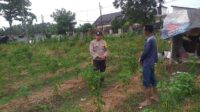 Maksimalkan Lahan Produktif: Polri Ajak Warga Desa Jagaraga Dukung Ketahanan Pangan