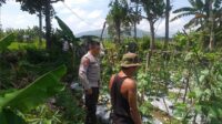Bhabinkamtibmas Jagaraga Aktif Sosialisasi Ketahanan Pangan, Warga Antusias Manfaatkan Lahan (2) Polsek Kuripan Aktif Sosialisasi Ketahanan Pangan ke Petani Desa Jagaraga
