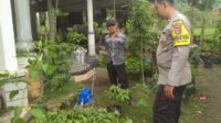 Dukung Pertanian Pekarangan, Polri Hadir Erat di Tengah Masyarakat di Sekotong (2) Dukung Pertanian Pekarangan, Polri Hadir Erat di Tengah Masyarakat di Sekotong