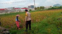 Sinergi Polri dan Warga Kembangkan Ketahanan Pangan Desa