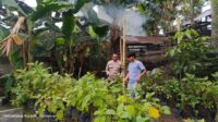 Polsek Kuripan Dampingi Warga Kuripan Utara Sukseskan Program Ketahanan Pangan (2) Polsek Kuripan Dampingi Warga Kuripan Utara Sukseskan Program Ketahanan Pangan