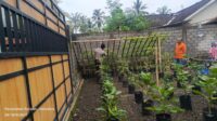 Polsek Kuripan Gencar Sosialisasi Ketahanan Pangan, Gandeng Warga Binaan Manfaatkan Lahan Produktif (2) Bhabinkamtibmas Kuripan Sosialisasikan Pemanfaatan Lahan untuk Tanam Pangan