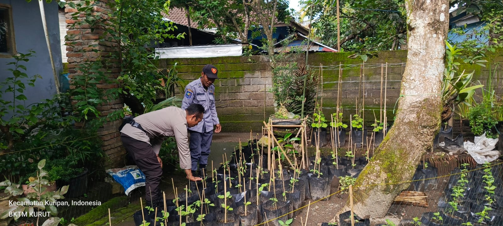 Bhabinkamtibmas Kuripan Edukasi Warga Soal Ketahanan Pangan Lokal