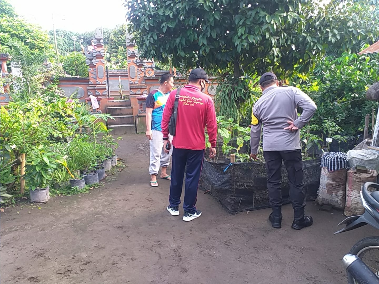 Program Ketahanan Pangan Digencarkan di Desa Jagaraga