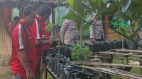 Sinergi Polsek Sekotong dan UPT Pertanian Sekotong Wujudkan Ketahanan Pangan Rumah Tangga (2) Kolaborasi Polri dan Pertanian dalam Program Pekarangan Bergizi untuk Ketahanan Pangan