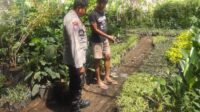 Bhabinkamtibmas Banyumulek Edukasi Warga Soal Kebun Pekarangan