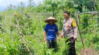 Silaturahmi Polisi dan Petani, Perkuat Pangan dan Keamanan Desa