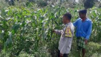 Bhabinkamtibmas Dorong Swasembada Pangan di Desa Montong Are