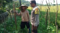 Bhabinkamtibmas Taman Ayu Galakkan Ketahanan Pangan Keluarga