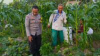 Motivasi Petani Kuripan, Polri Dorong Ketahanan Pangan dari Tingkat Desa