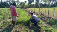 Pemanfaatan Lahan Pekarangan Didorong Bhabinkamtibmas Sekotong Barat