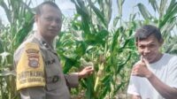 Pendampingan Petani oleh Bhabinkamtibmas di Desa Jagaraga Indah