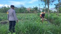 Polri Dorong Pertanian Produktif di Desa Pelangan, Sekotong