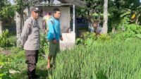 Polri Perkuat Swasembada Pangan di Desa Montong Are