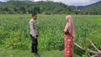 Polsek Lembar Dukung Ketahanan Pangan Lewat Sambang Petani di Sekotong Timur