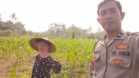 Program Ketahanan Pangan Diperkuat Lewat Kunjungan Polsek Lembar ke Petani