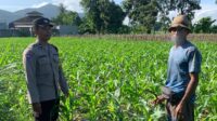 Sinergi Polri dan Petani Gerung dalam Wujudkan Ketahanan Pangan
