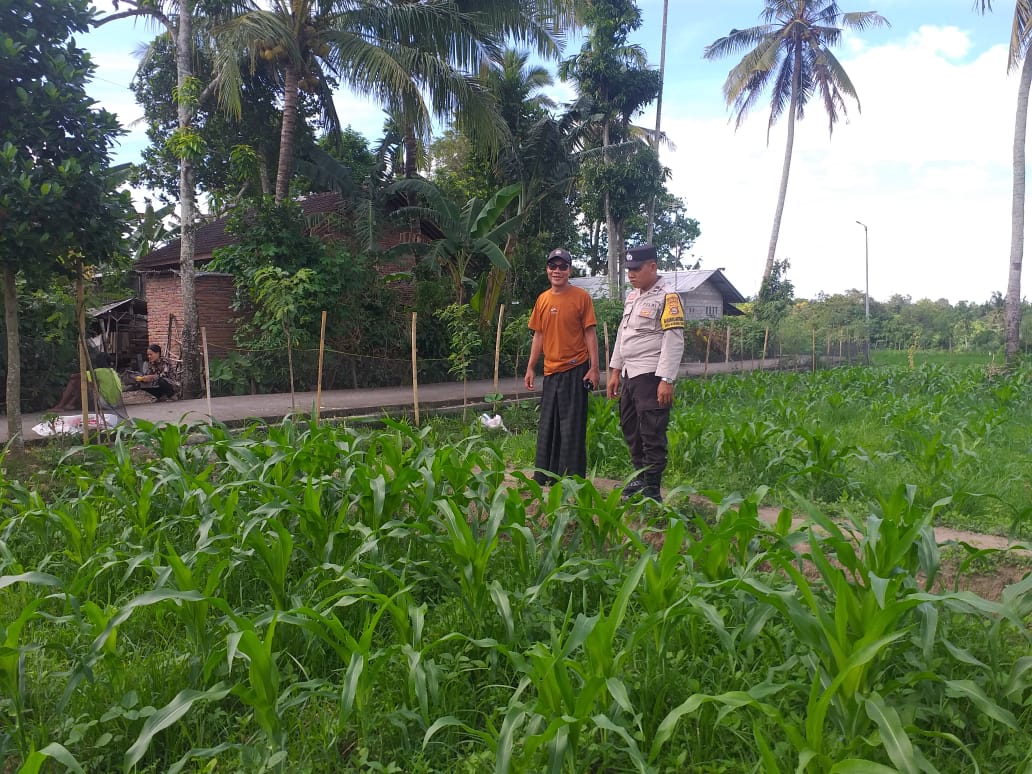 Pendekatan DDS Jadi Strategi Polri Bangun Kamtibmas Pertanian