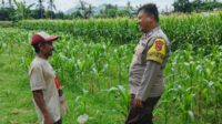 Polres Lombok Barat Dorong Ketahanan Pangan Desa Jembatan Gantung