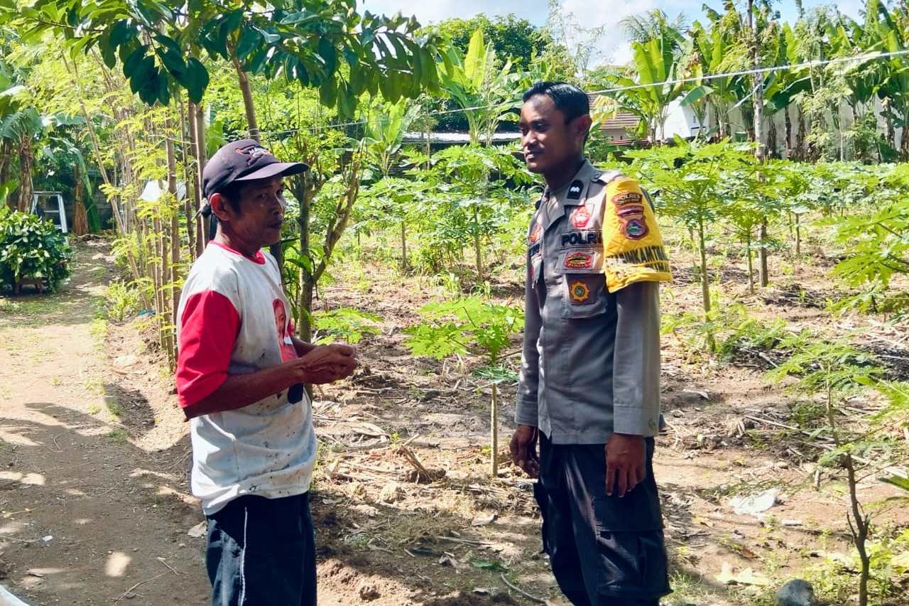 Bhabinkamtibmas Desa Rumak Dorong Warga Kediri Tanam Pangan di Pekarangan