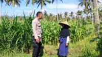 Sinergi Polri dan Petani Eyat Mayang Perkuat Ketahanan Pangan Nasional