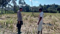 Polri dan Warga Kuripan Bangun Ketahanan Pangan dari Rumah