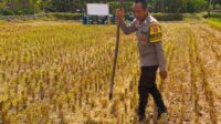 Kunjungan Bhabinkamtibmas Kuripan Utara, Ajak Petani Dukung Ketahanan Pangan Nasional