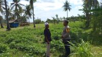 WhatsApp Image 2025-07-17 at 12.50.21 Kunjungi Petani di Sekotong, Polri Tekankan Pemanfaatan Lahan Demi Kedaulatan Pangan
