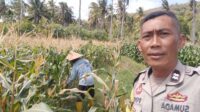 Bhabinkamtibmas Desa Batu Putih Dorong Pemanfaatan Lahan Petani di Dusun Tibu Baru (3) Bhabinkamtibmas Desa Batu Putih Dorong Pemanfaatan Lahan Petani di Dusun Tibu Baru
