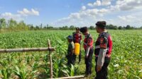 Polres Lombok Barat Dukung Petani Jagung di Desa Dasan Geres
