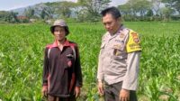 Sinergi Polisi dan Petani di Desa Jagaraga untuk Wujudkan Kemandirian Pangan