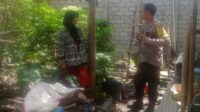 Kunjungan Humanis Bhabinkamtibmas, Ajak Warga Manfaatkan Lahan Pekarangan untuk Ketahanan Pangan (2) Kunjungan Humanis Bhabinkamtibmas, Ajak Warga Manfaatkan Lahan Pekarangan untuk Ketahanan Pangan