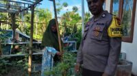 Polsek Batulayar Dorong Program Ketahanan Pangan lewat Edukasi di Senggigi (1) Polsek Batulayar Dorong Program Ketahanan Pangan lewat Edukasi di Senggigi