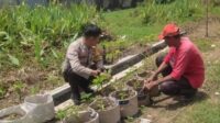 Sinergi Polsek Labuapi dan Warga Mapak Reong Dorong Pemanfaatan Pekarangan Produktif