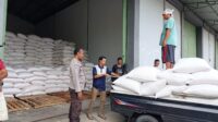 Bulog Mataram Serap 3,4 Ton Jagung Petani Gerung dengan Pengawalan Polisi
